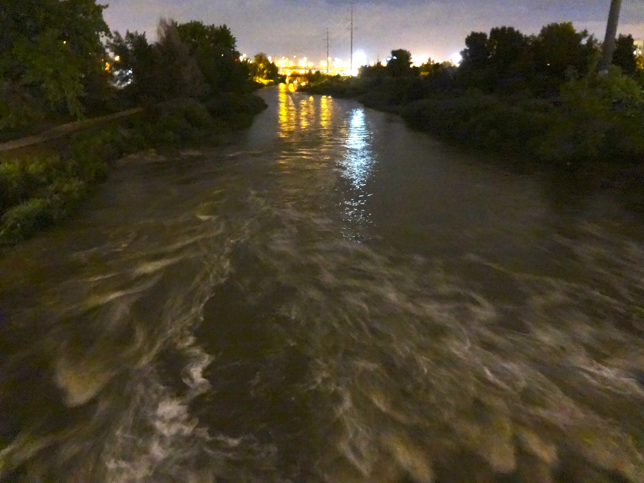 Foodborne Chicago and Flooding the Box