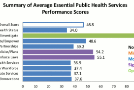 Local Pubic Health System Assessment (Chicago Department of Public Health)